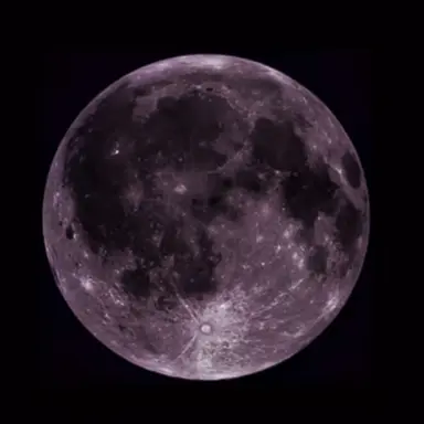 Profile image of jk.