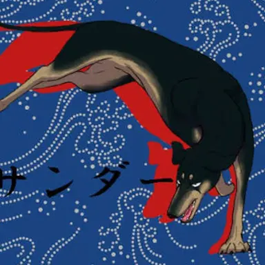 Profile image of サンダー