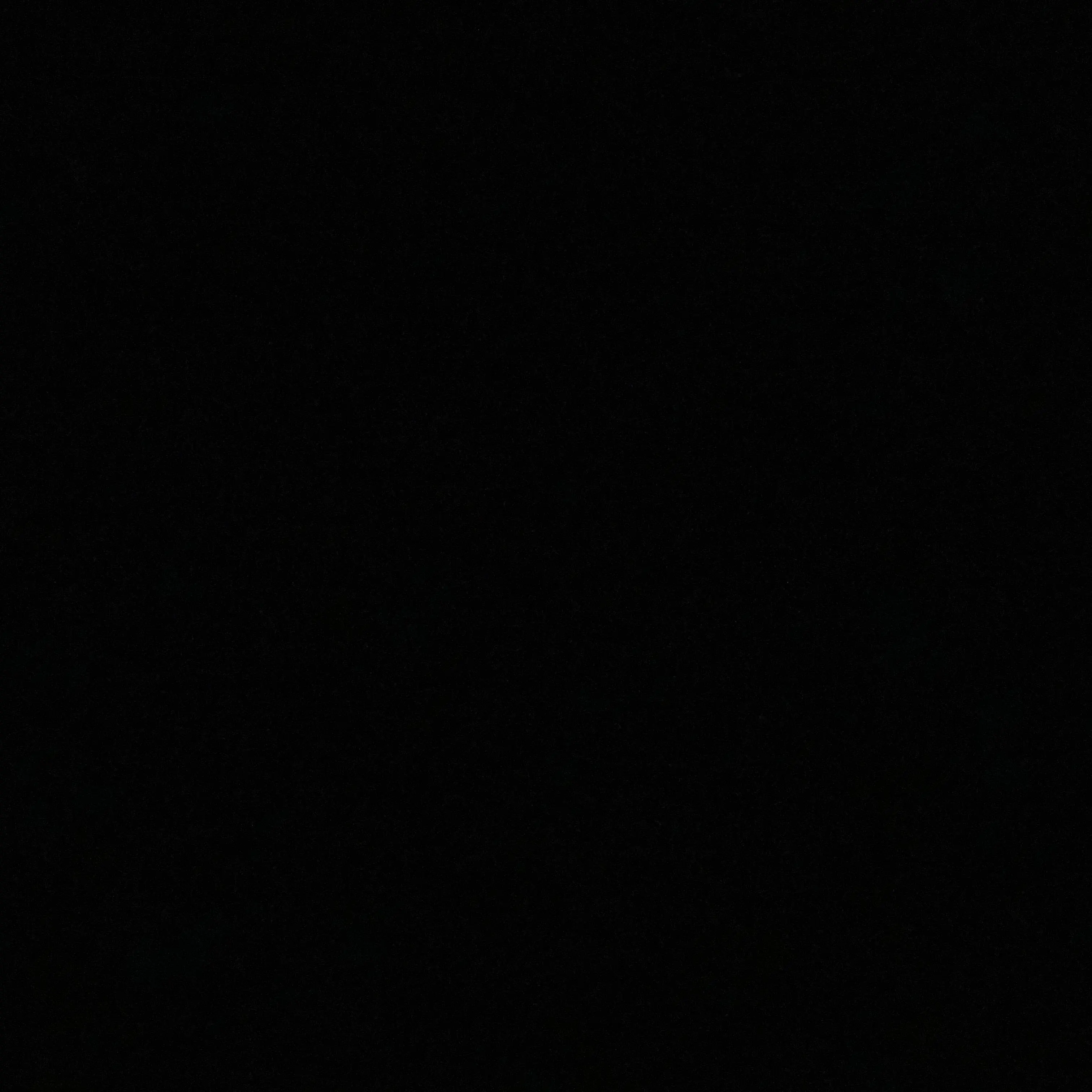 Mnbvc의 후지나가 사쿠야
