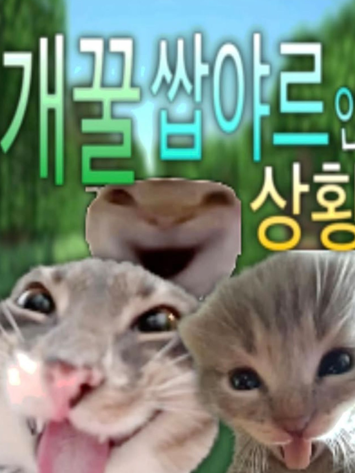 야르띠!! 대표 이미지