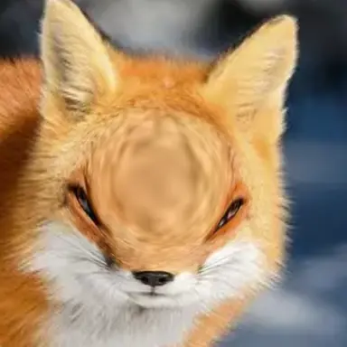 Profile image of 여우