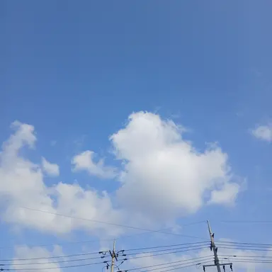 Profile image of 전석오