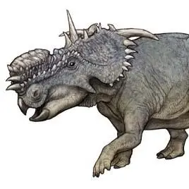Profile image of Maria