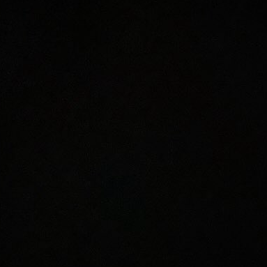 단톡 대표 이미지