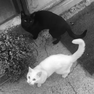 Profile image of 나재민