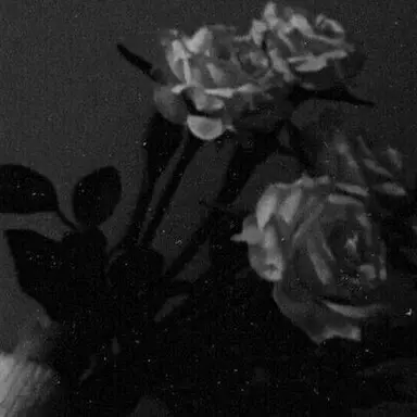 Profile image of 이제노