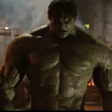 Profile image of The Hulk