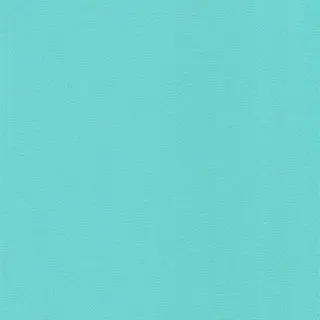 VioletChin0807의 自分用