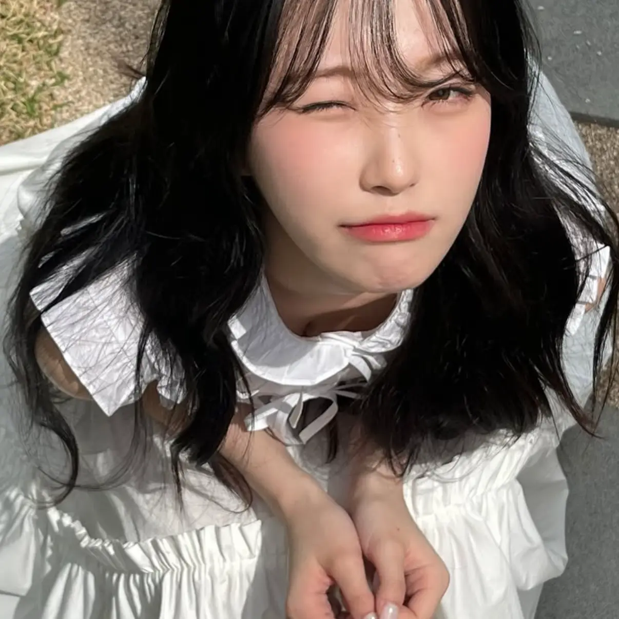 TartanHusky1280의 백지헌
