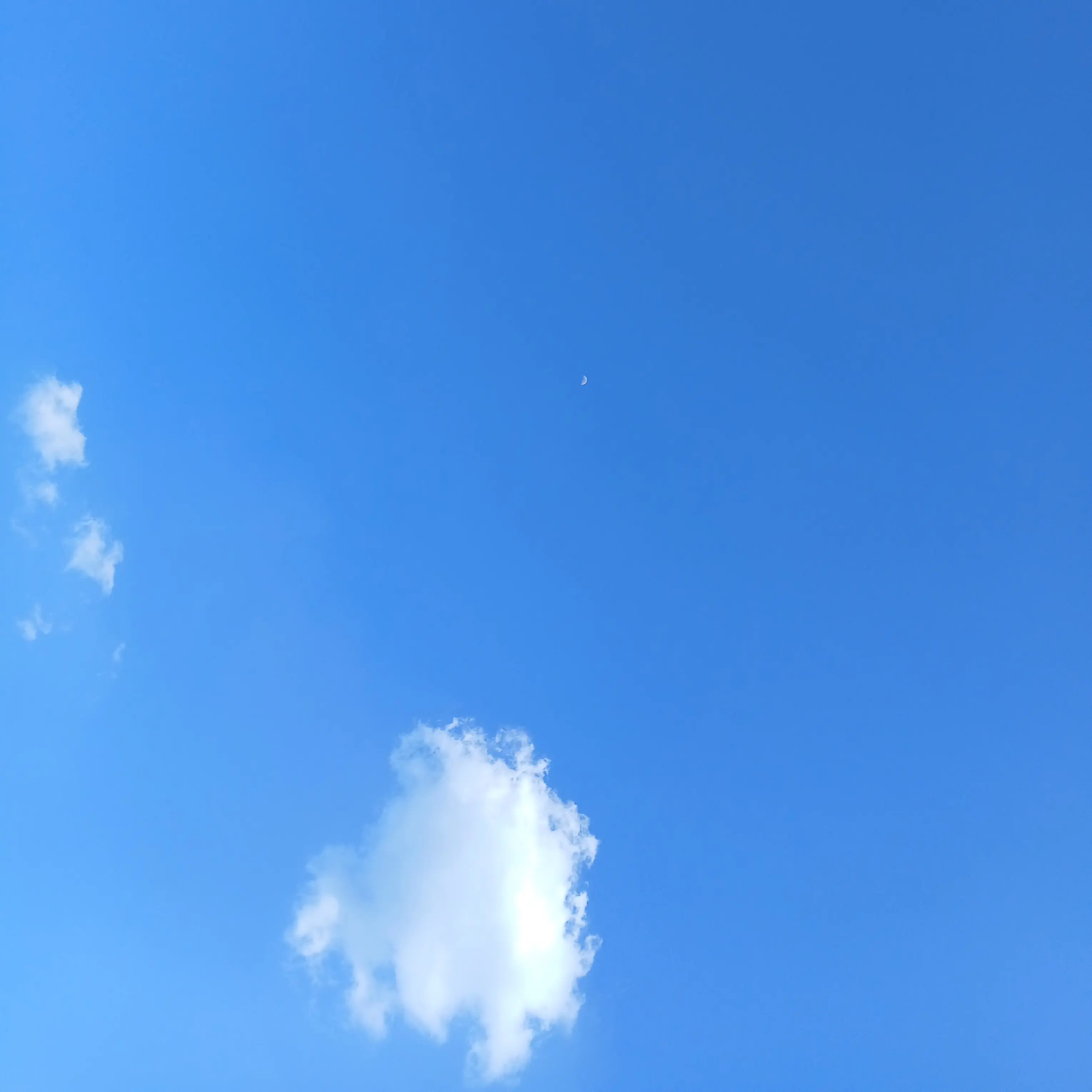 Rumi0804의 초세여