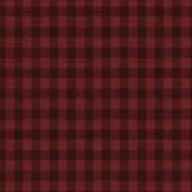 Profile image of 舜太