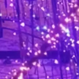 Profile image of 稜雅