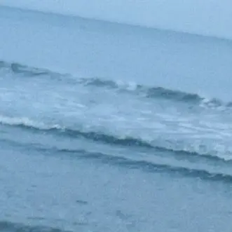 Profile image of 海
