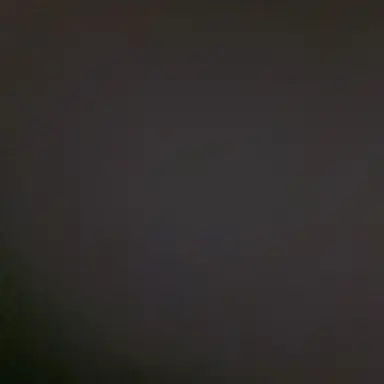 Profile image of 이동혁