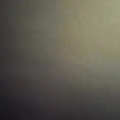 Profile image of 한지성