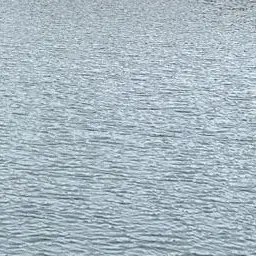 Profile image of 蒼井の担任の先生