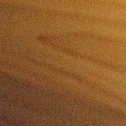 Profile image of ファン