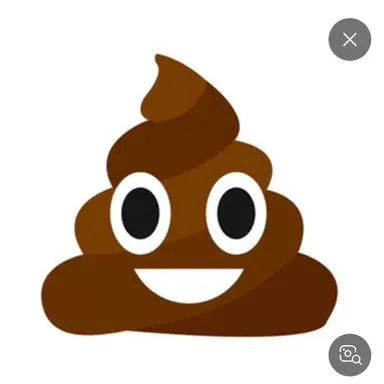 Profile image of 똥여우