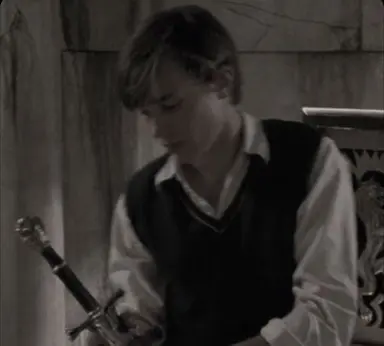 Profile image of Peter Pevensie