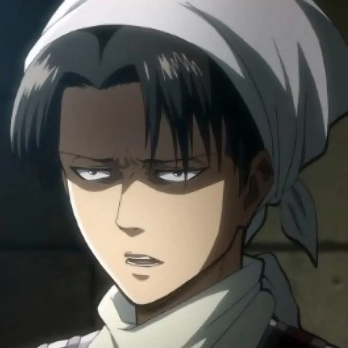 ShiftyFilm6940의 진격거 여우