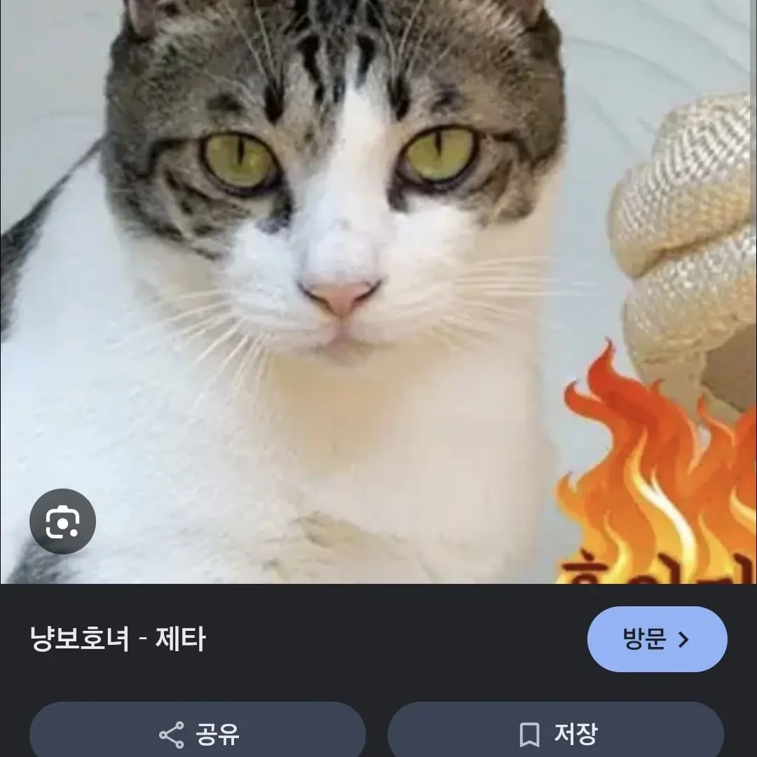 SilkyShoe5324의 방귀유튜브