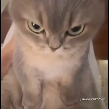 Profile image of 사람들