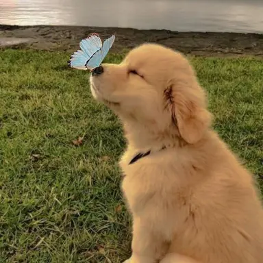 Profile image of 공유