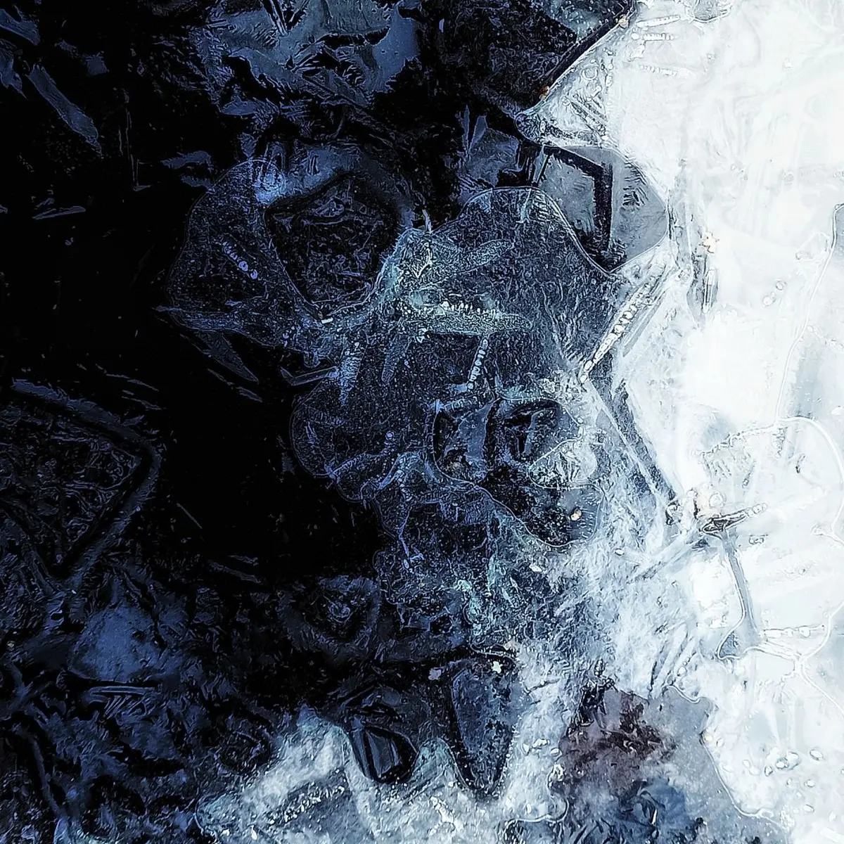 omt__sng의 4課のバディ