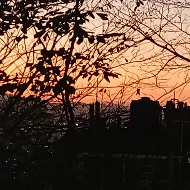 Profile image of 세돌