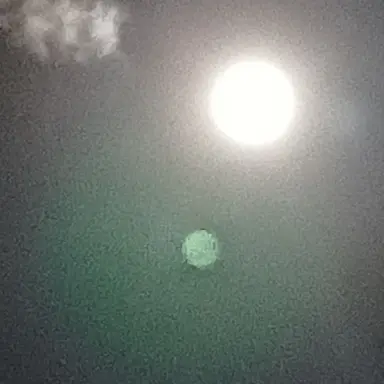 Profile image of 달이