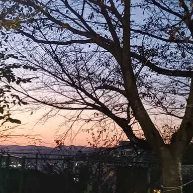 Profile image of 신원