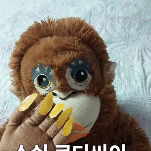 Numzbbnmkk의 김박최수연