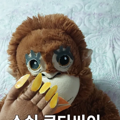 김박최수연