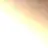 골드치츠