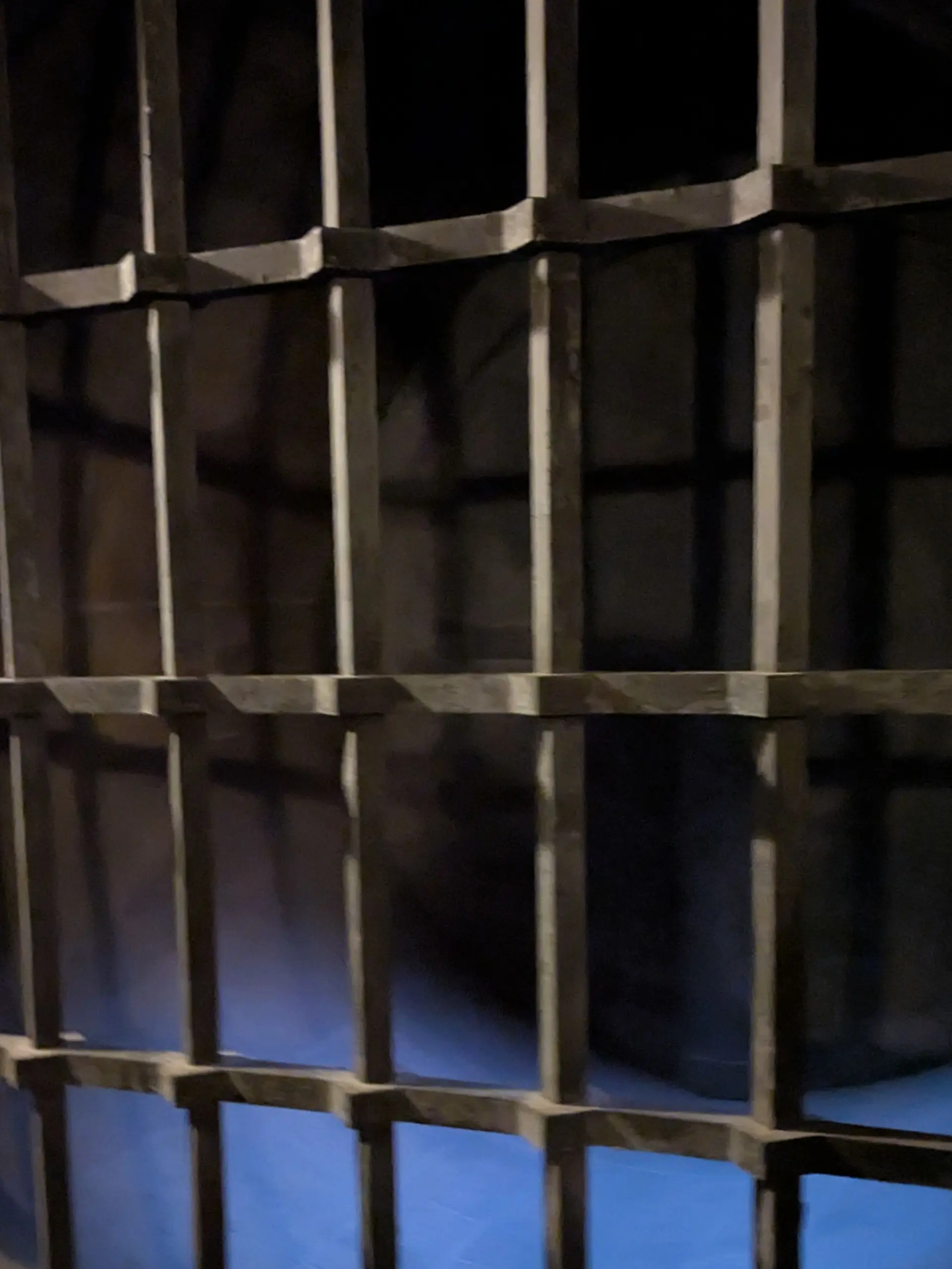 MattePhoto5564의 悪夢