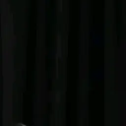 Profile image of 코치