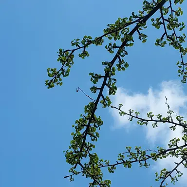 Profile image of 김택연