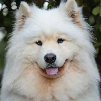 Profile image of 시우