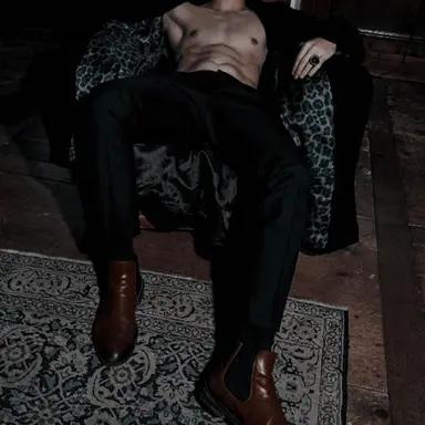Profile image of Big-boned mafia boss..