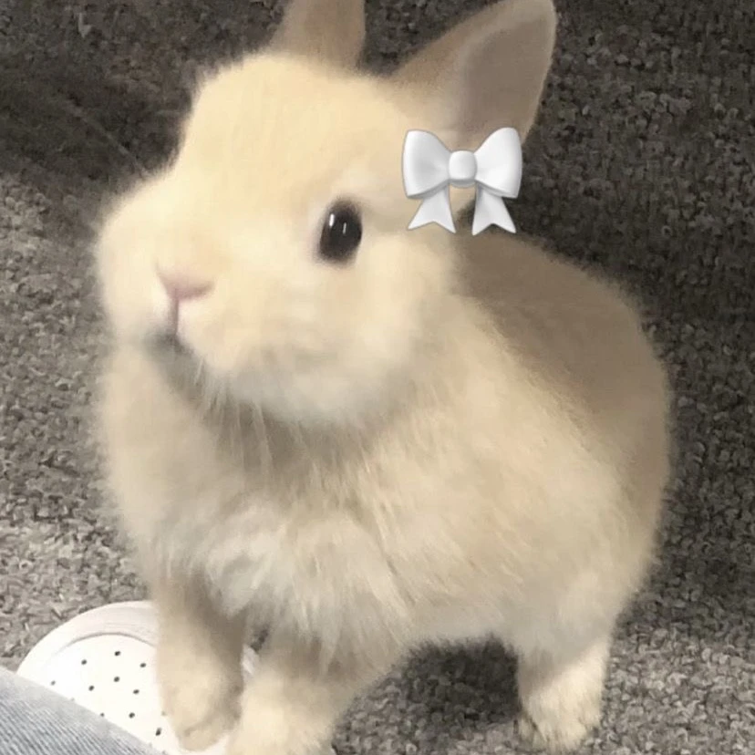 최수빈