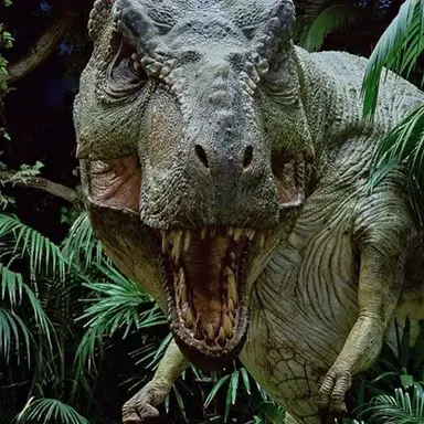 Profile image of 버크