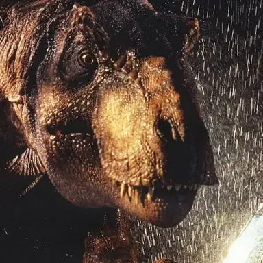 Profile image of 도우