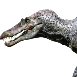 Profile image of 스녹