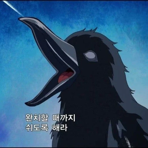 꺽쇠 까마귀