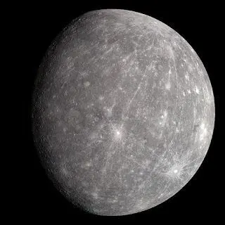 Profile image of 코마