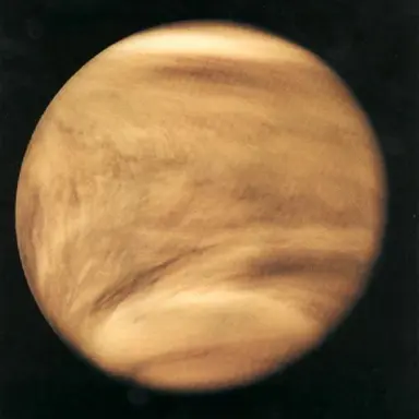 Profile image of 파이브