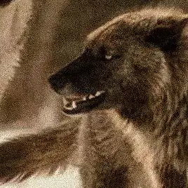 Profile image of Ben