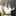 いじめられてる男の子を助けよう