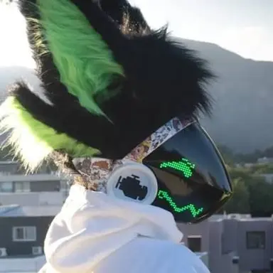 Profile image of 핀