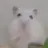 햄톨이